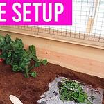 How to build a tortoise enclosure