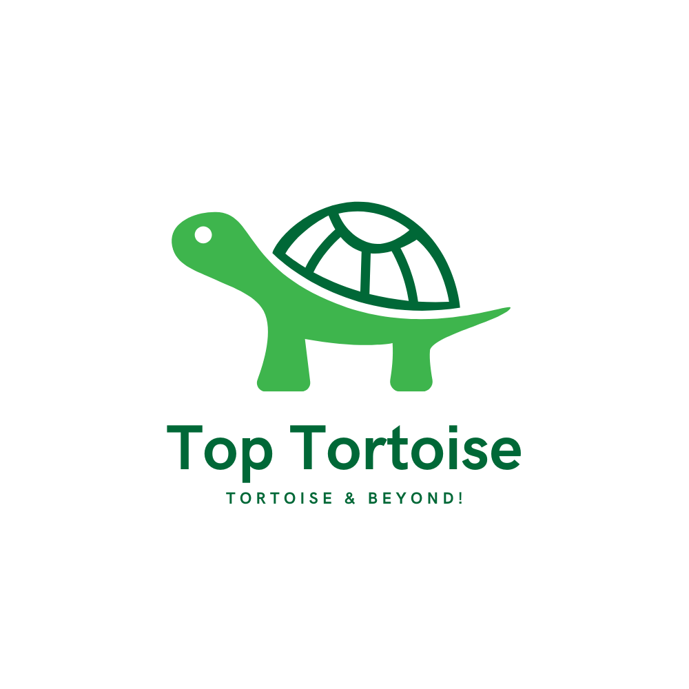 Top Tortoise